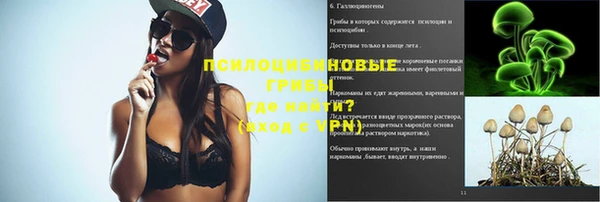 spice Армянск