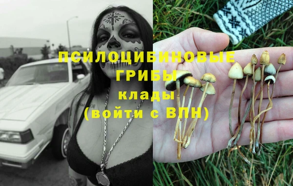 гашиш Арсеньев