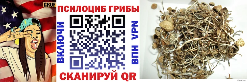Псилоцибиновые грибы прущие грибы  МЕГА онион  сайты даркнета официальный сайт  Гвардейск 