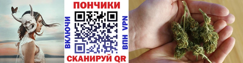 Бошки Шишки гибрид  закладка  Гвардейск 
